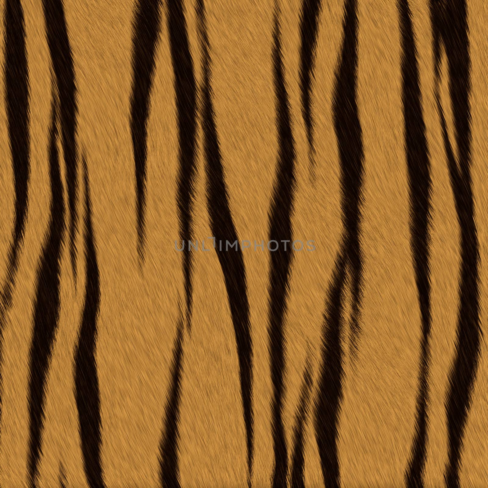 Tiger fur (skin) background or texture by Attila