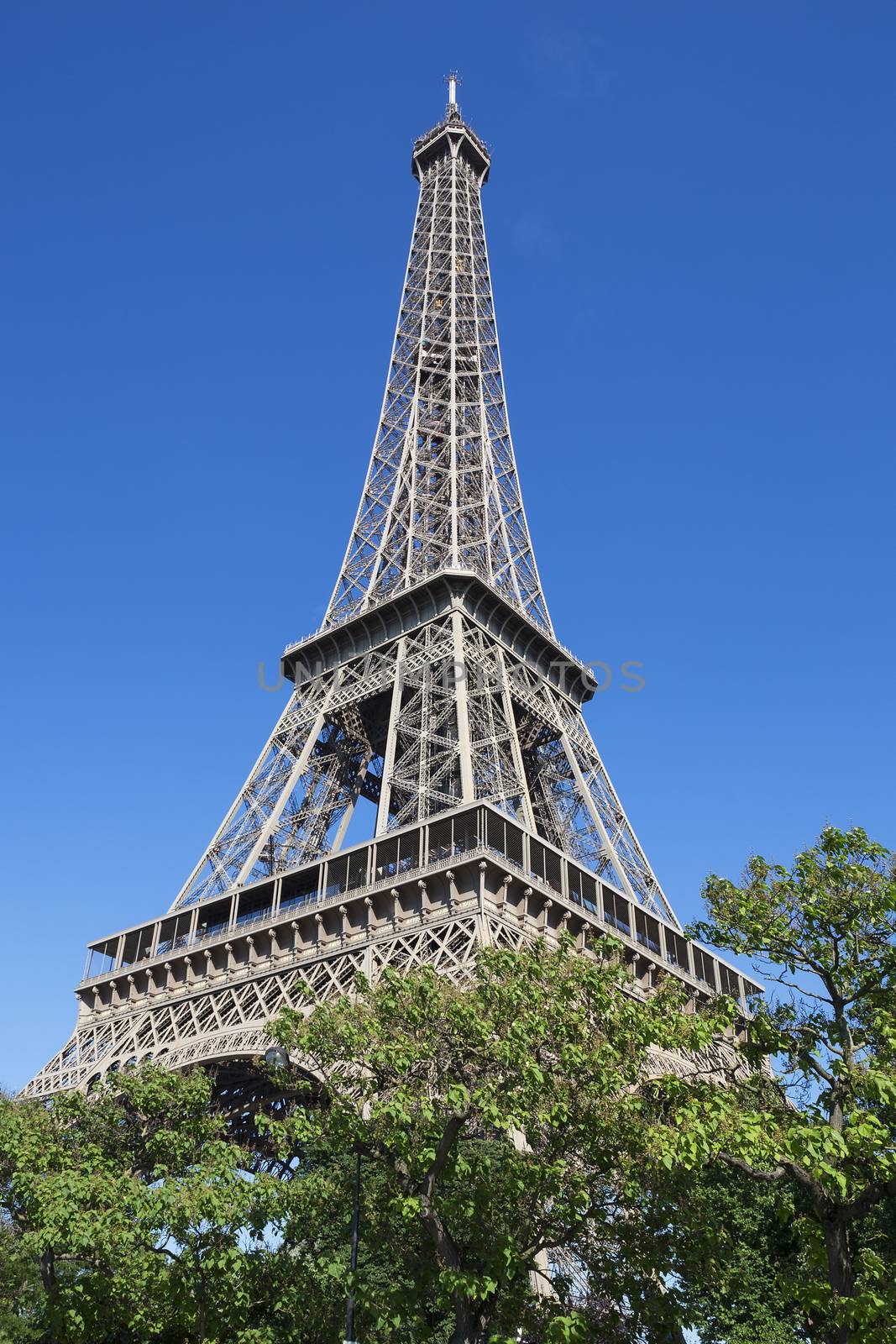 Eiffel Tower in summer, Paris, France.