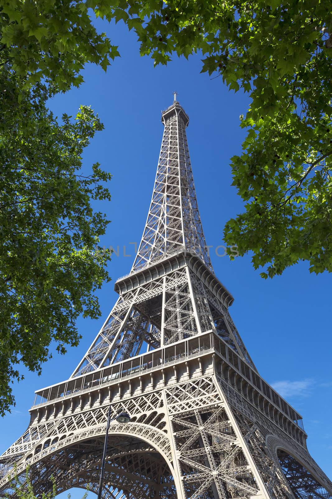 Eifel Tower with tree in blue sky, Paris.
