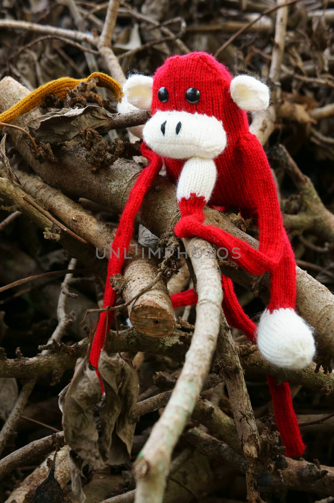 Abstract knitted monkey, symbol of year 2016, handmade toy from yarn, she lie down or sit lonely among nature, happy new year 2016, year of the monkey