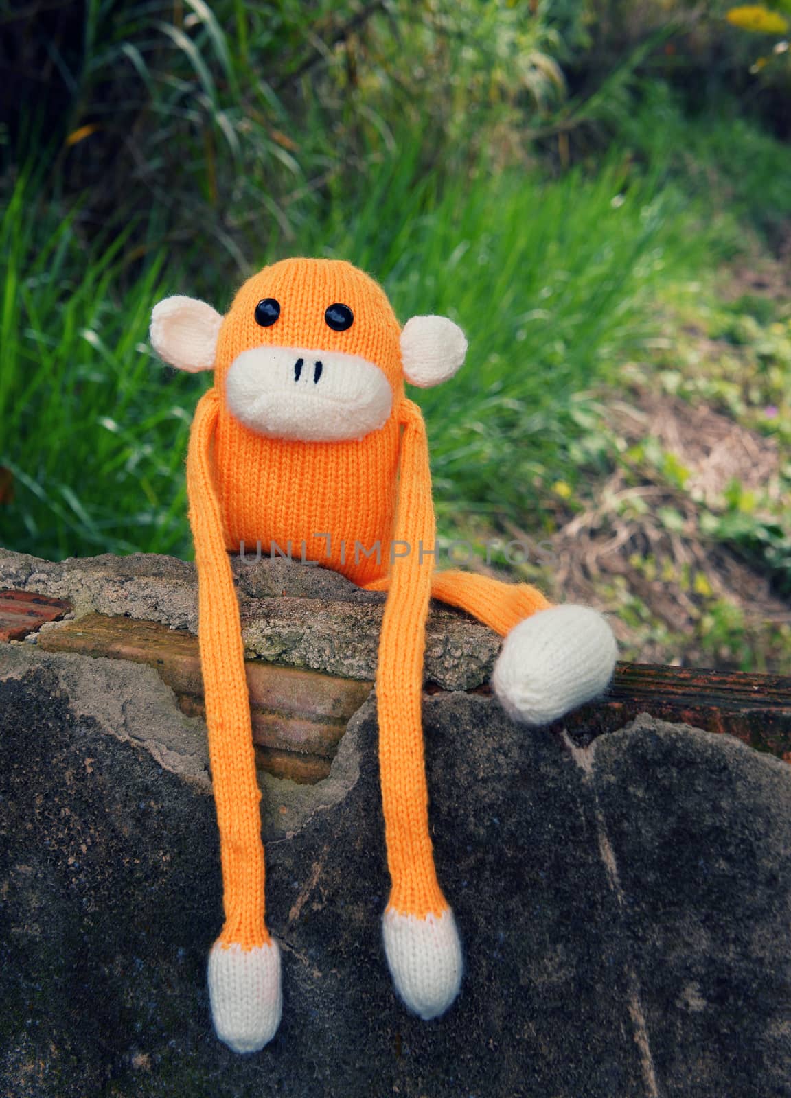 Abstract knitted monkey, symbol of year 2016, handmade toy from yarn, she lie down or sit lonely among nature, happy new year 2016, year of the monkey