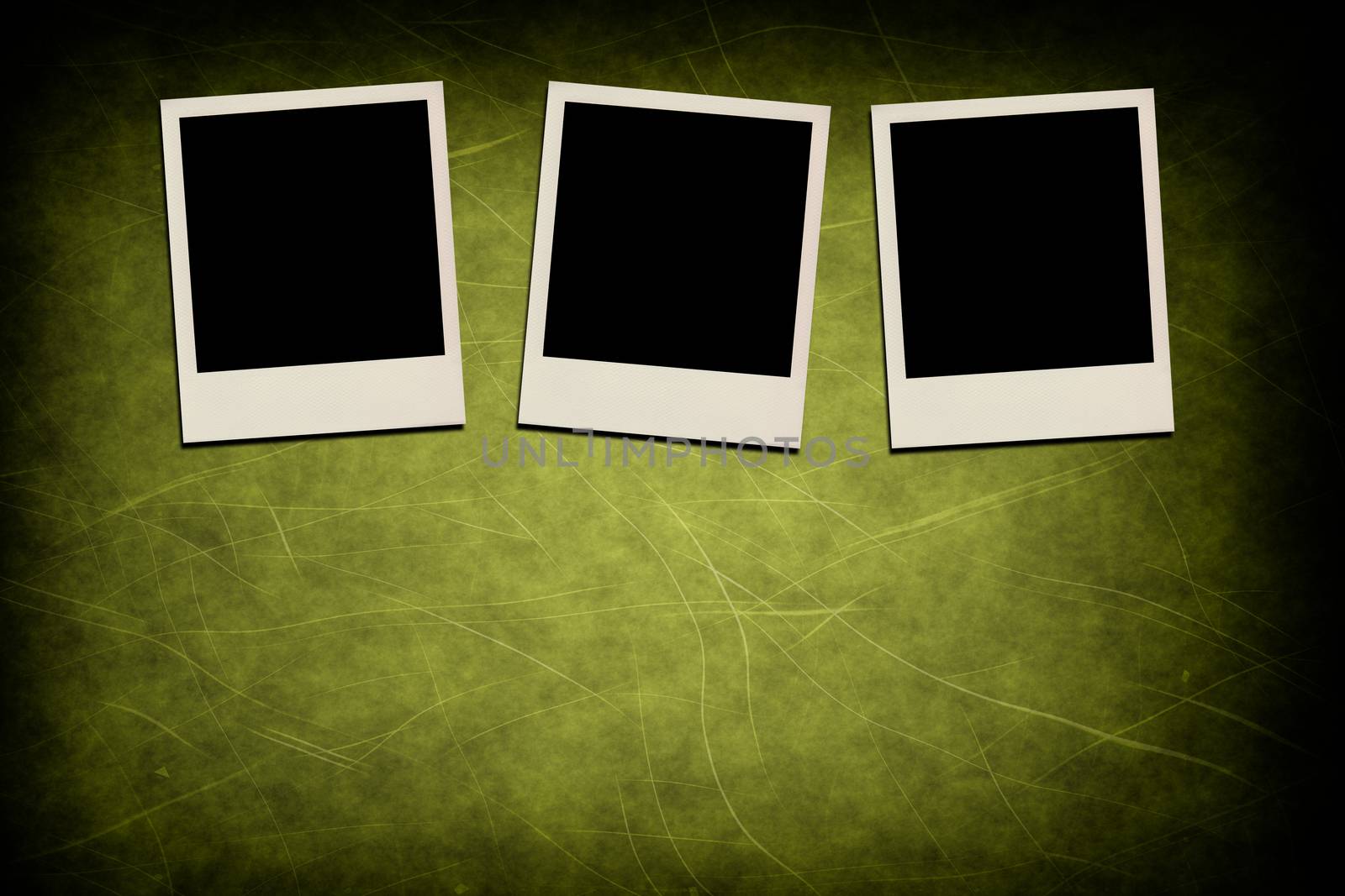 Blank instant photo frames on grunge green background by Attila