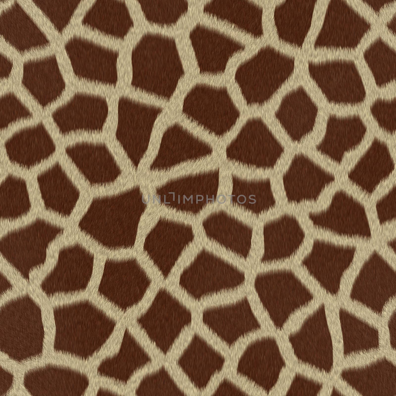 Giraffe fur (skin) background or texture