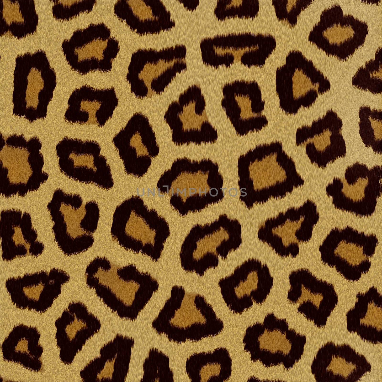 Leopard fur (skin) background or texture by Attila