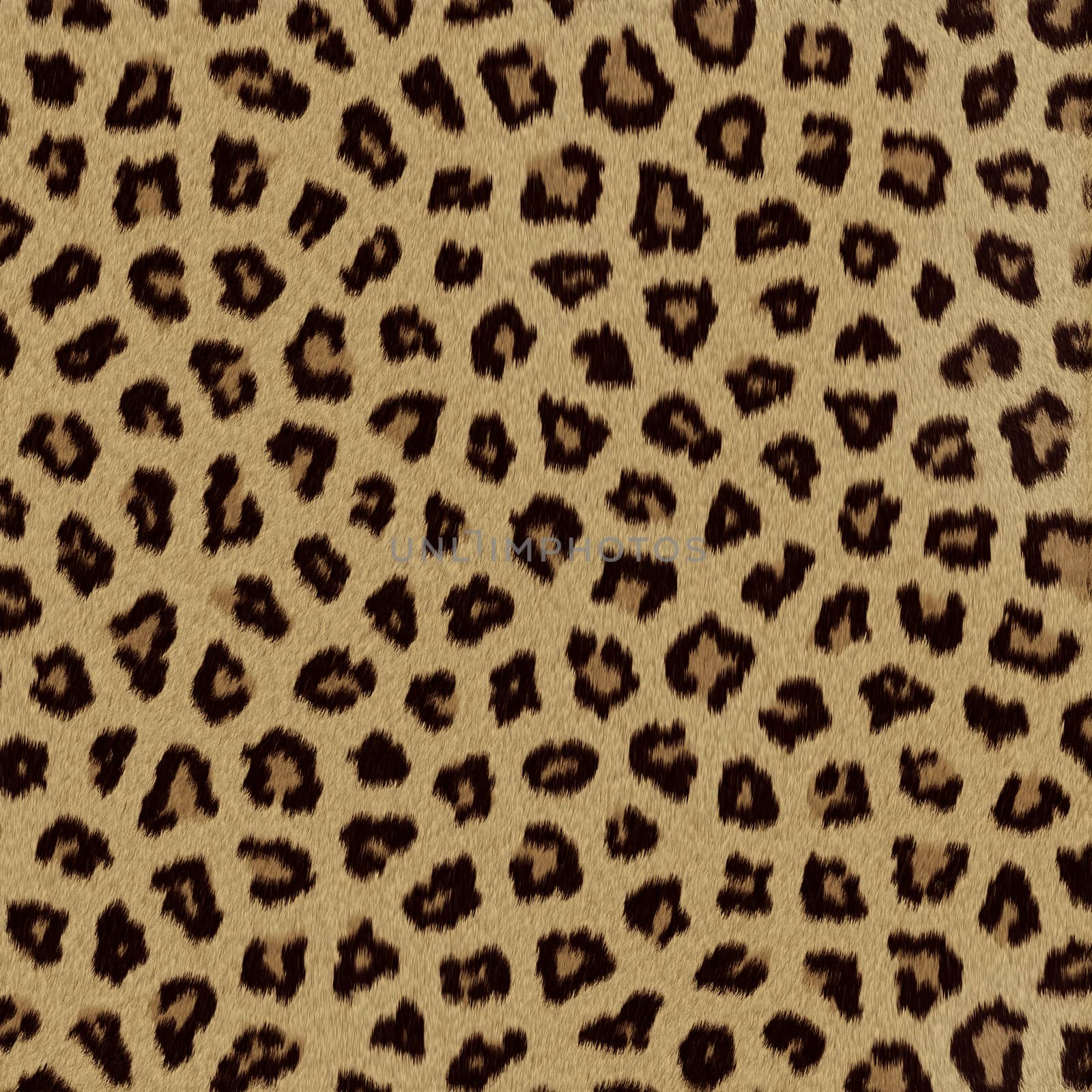 Leopard fur (skin) background or texture by Attila