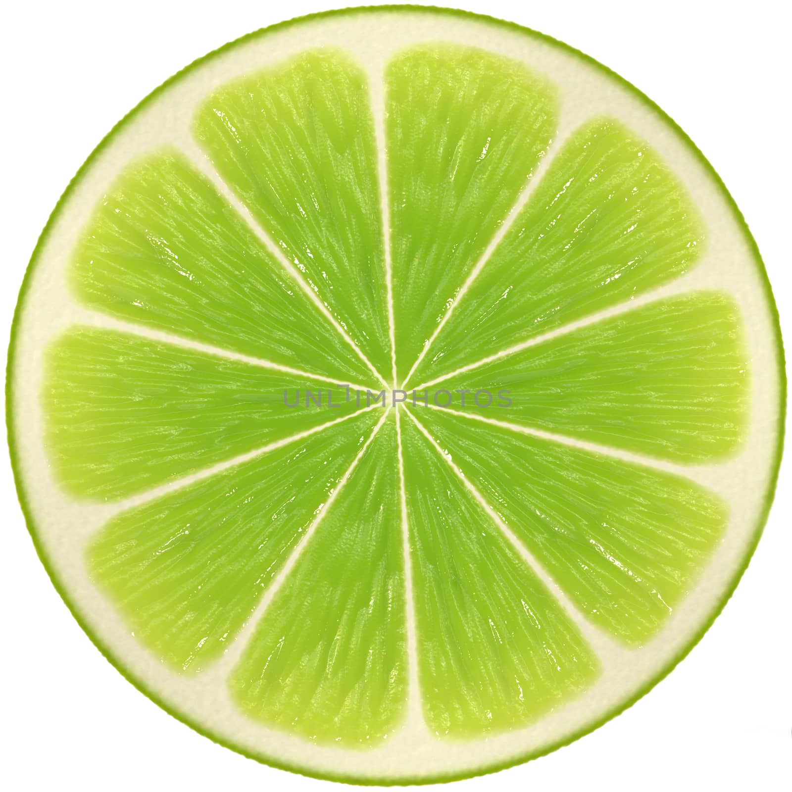 Slice of lime isolated on white background