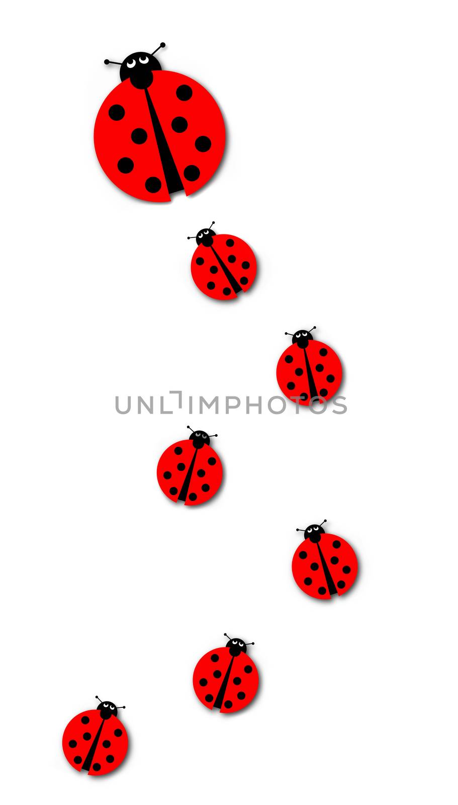 Background image with many different sized ladybugs on white background.