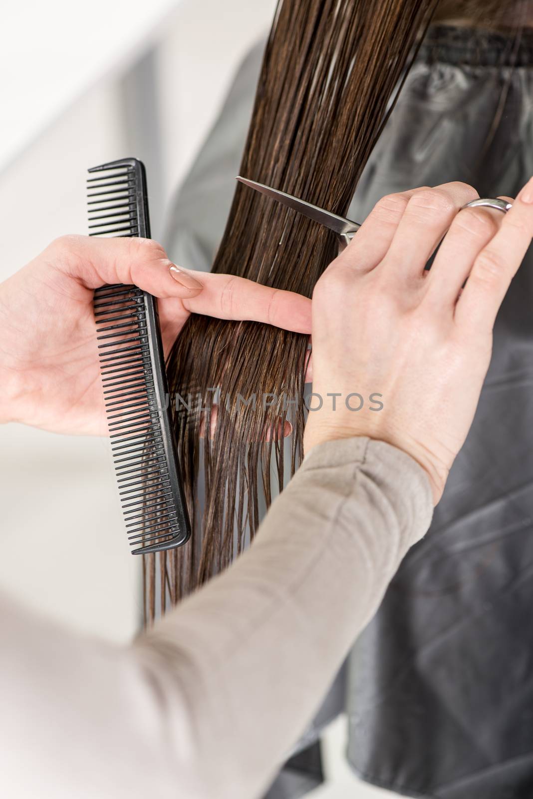 Close-up of a hairdresser cutting the hair of a woman. 