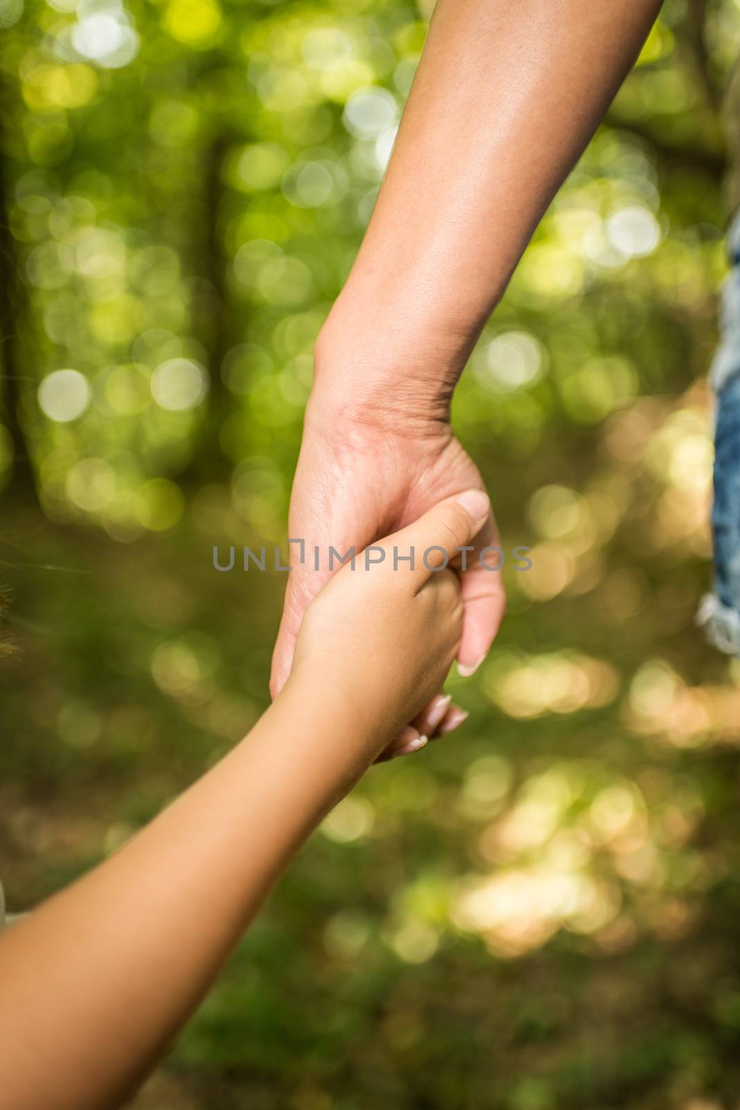 Close-up of a holding hands mother and daughter. They walking through the forest.