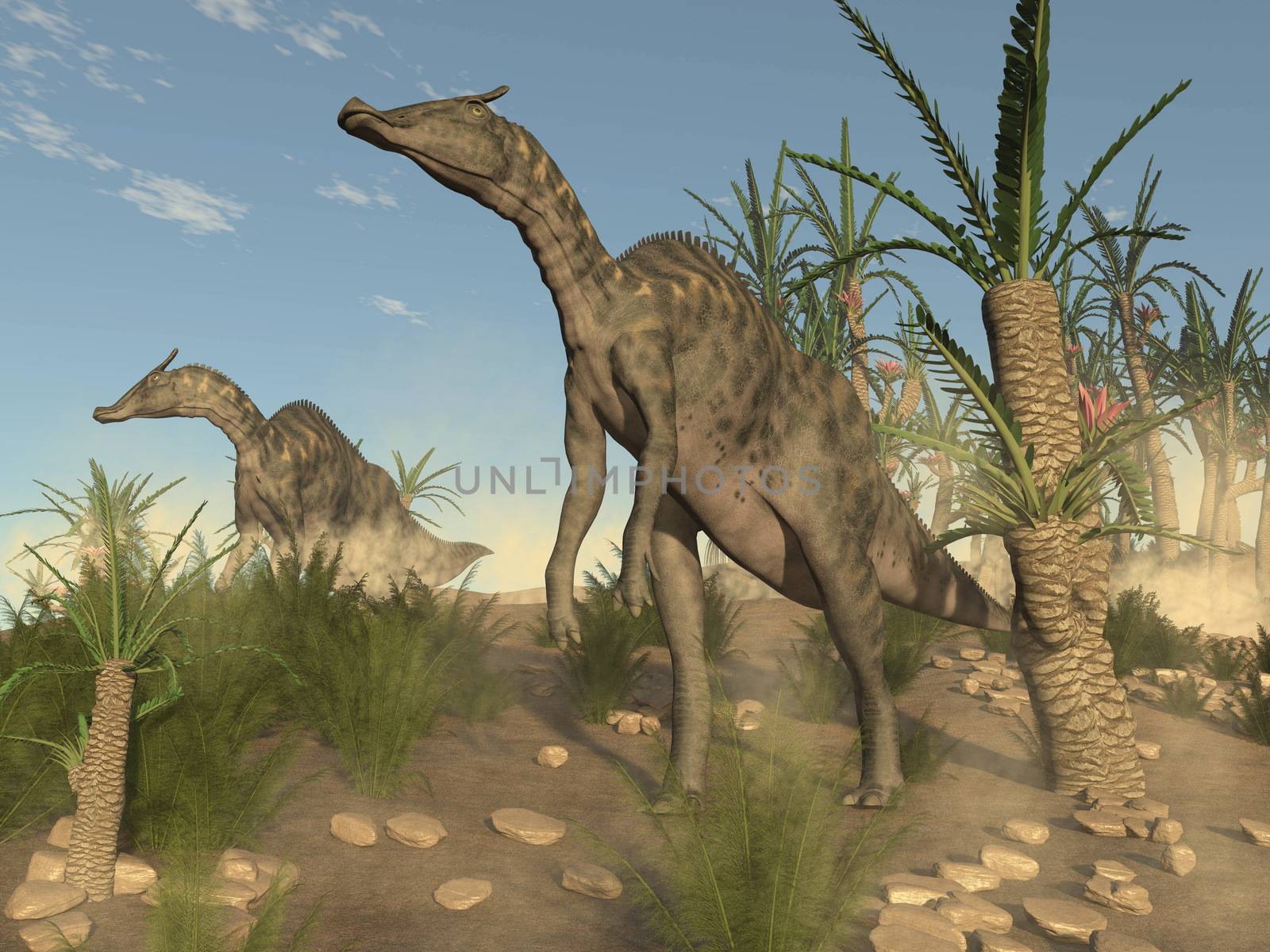 Two saurolophus dinosaurs walking among onychiopsis and williamsonia trees by day - 3D render