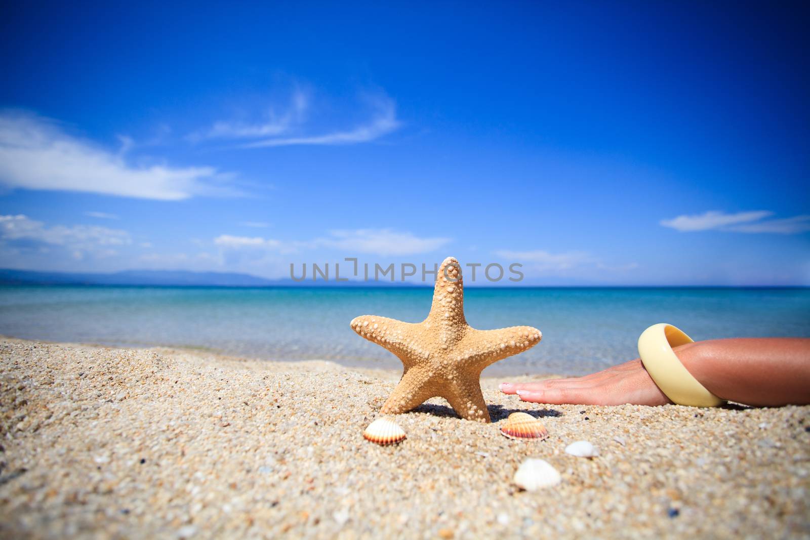 Starfish and Shells on the beach 
