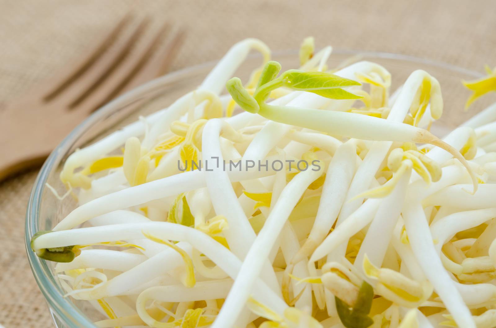 Mung bean sprouts in glass cup on sack background