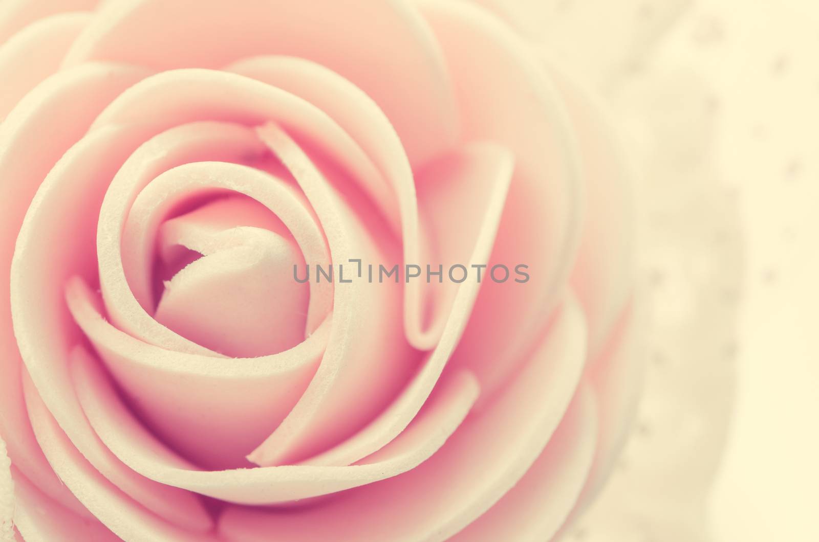 Macro of Center pink rose as background.