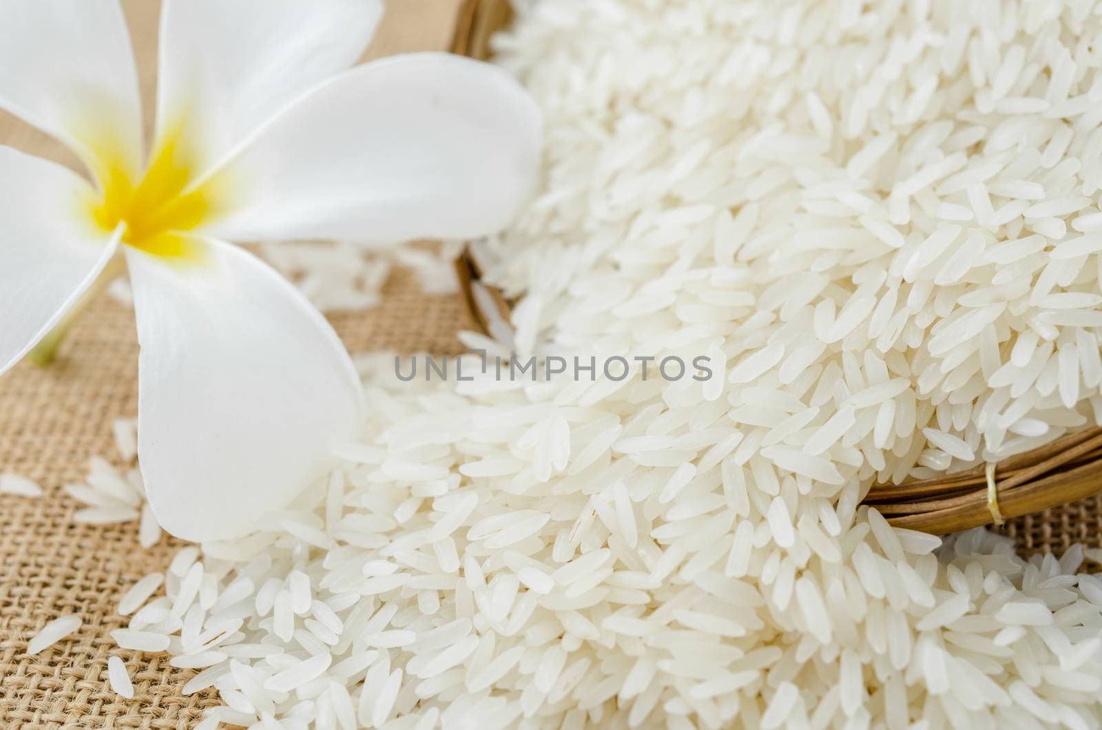 Wooden Spoon with rice jasmine and white flower