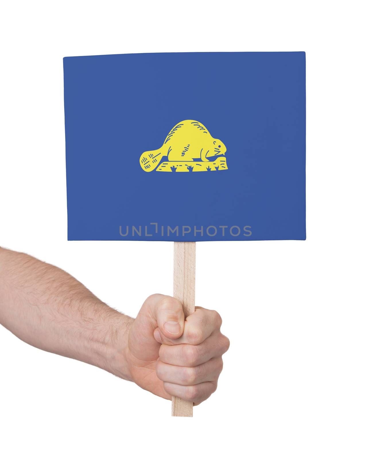 Hand holding small card - Flag of Oregon by michaklootwijk