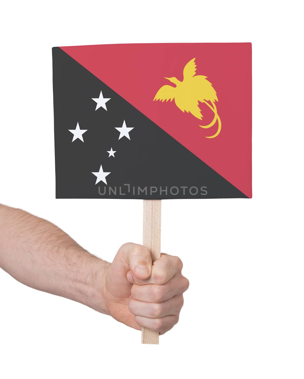 Hand holding small card - Flag of Papua New Guinea by michaklootwijk