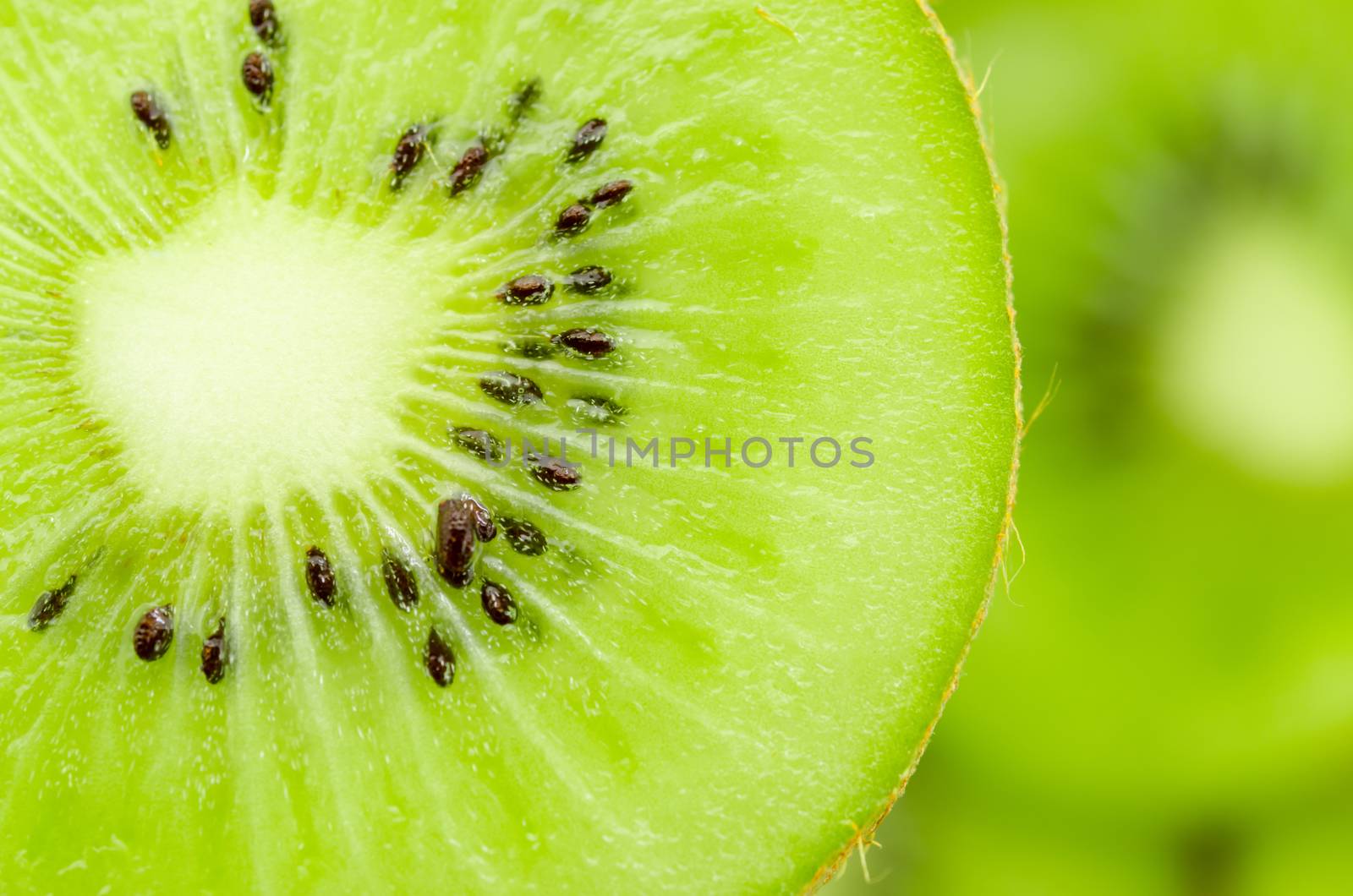 Slices of kiwi fruit. by Gamjai