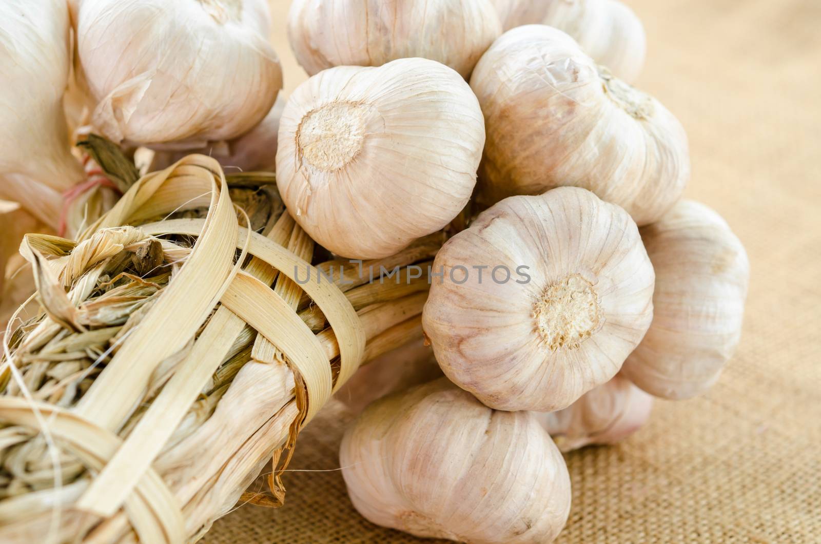 Garlic bulbs on sack background.