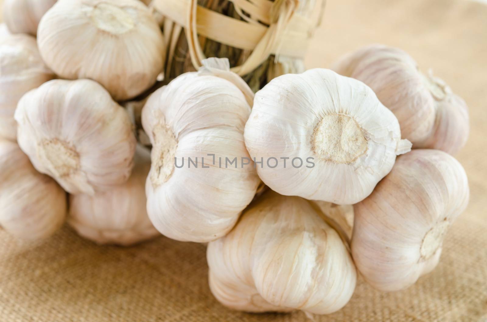 Whole garlic on sack background.