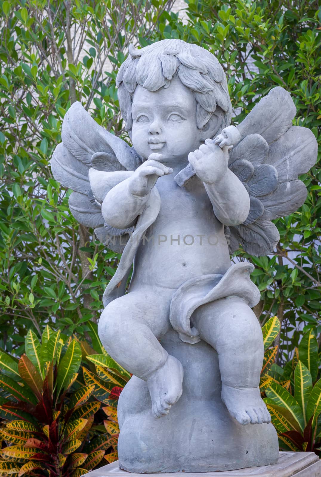 Cupid sculpture by seksan44