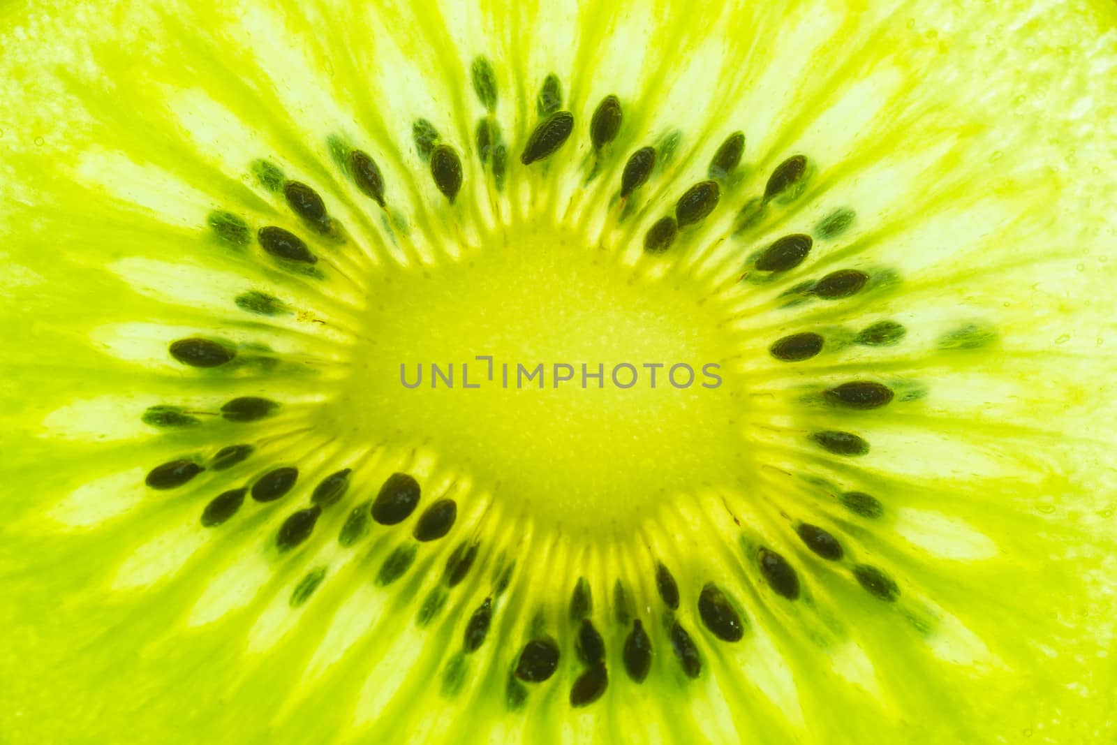 kiwi as background. macro, close up