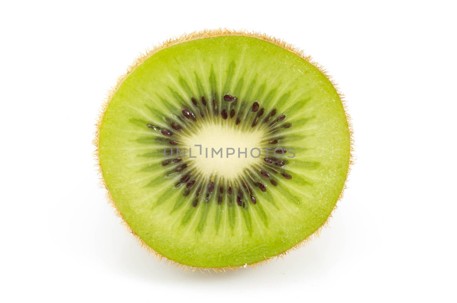 Kiwi fruit isolated on white background.