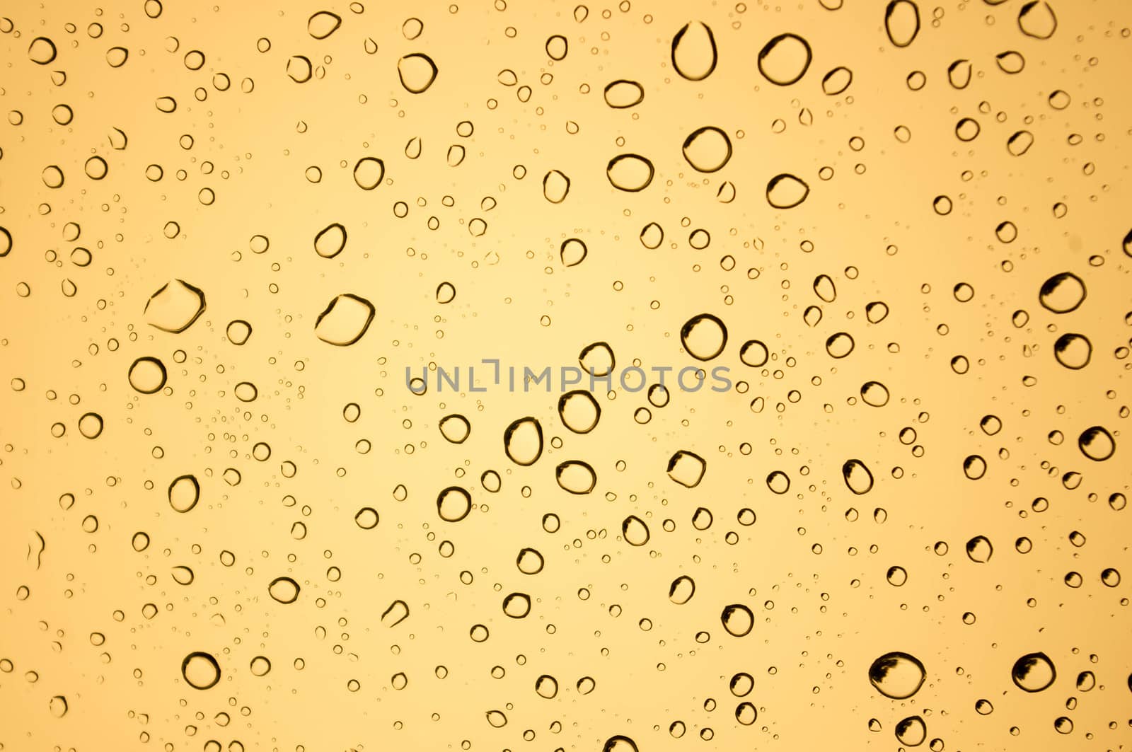 water drops background