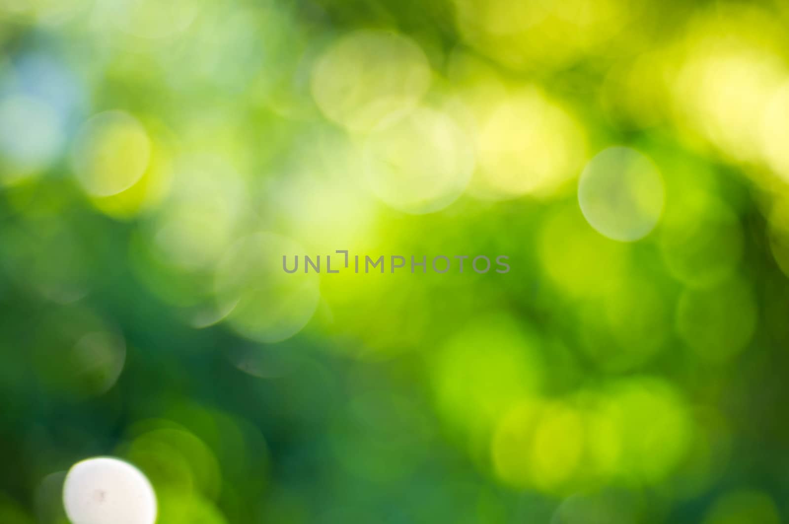 Natural bokeh and blur background.