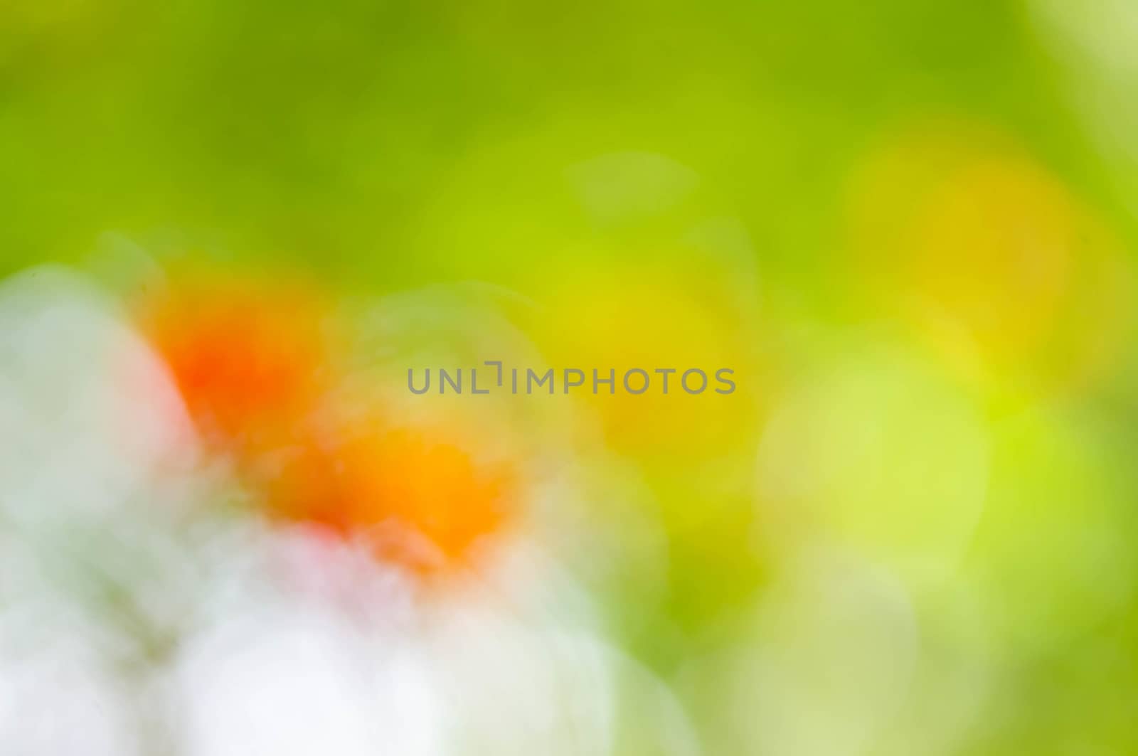 Natural bokeh and blur background.