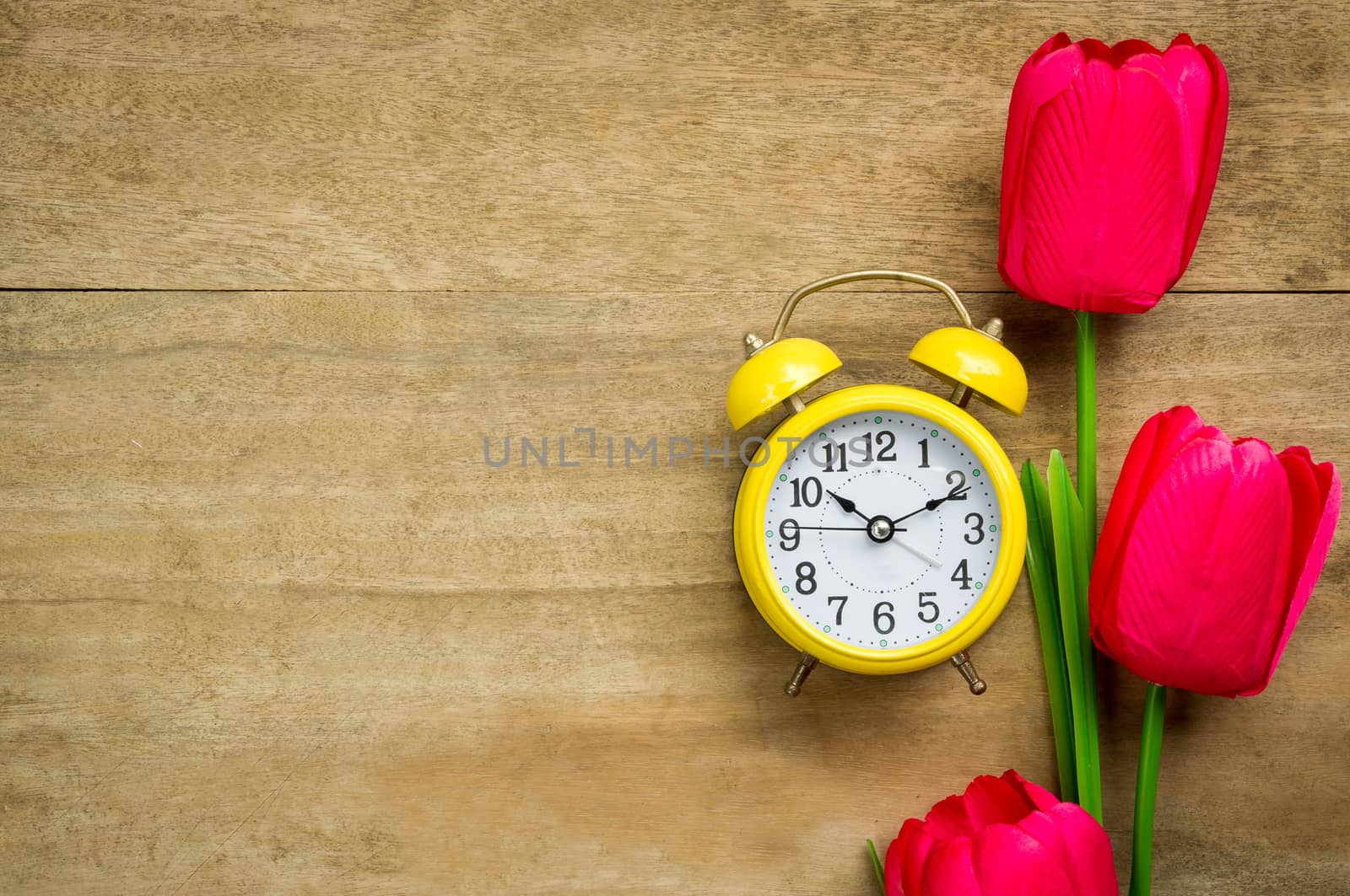 Clock nad tulips on wooden table background.