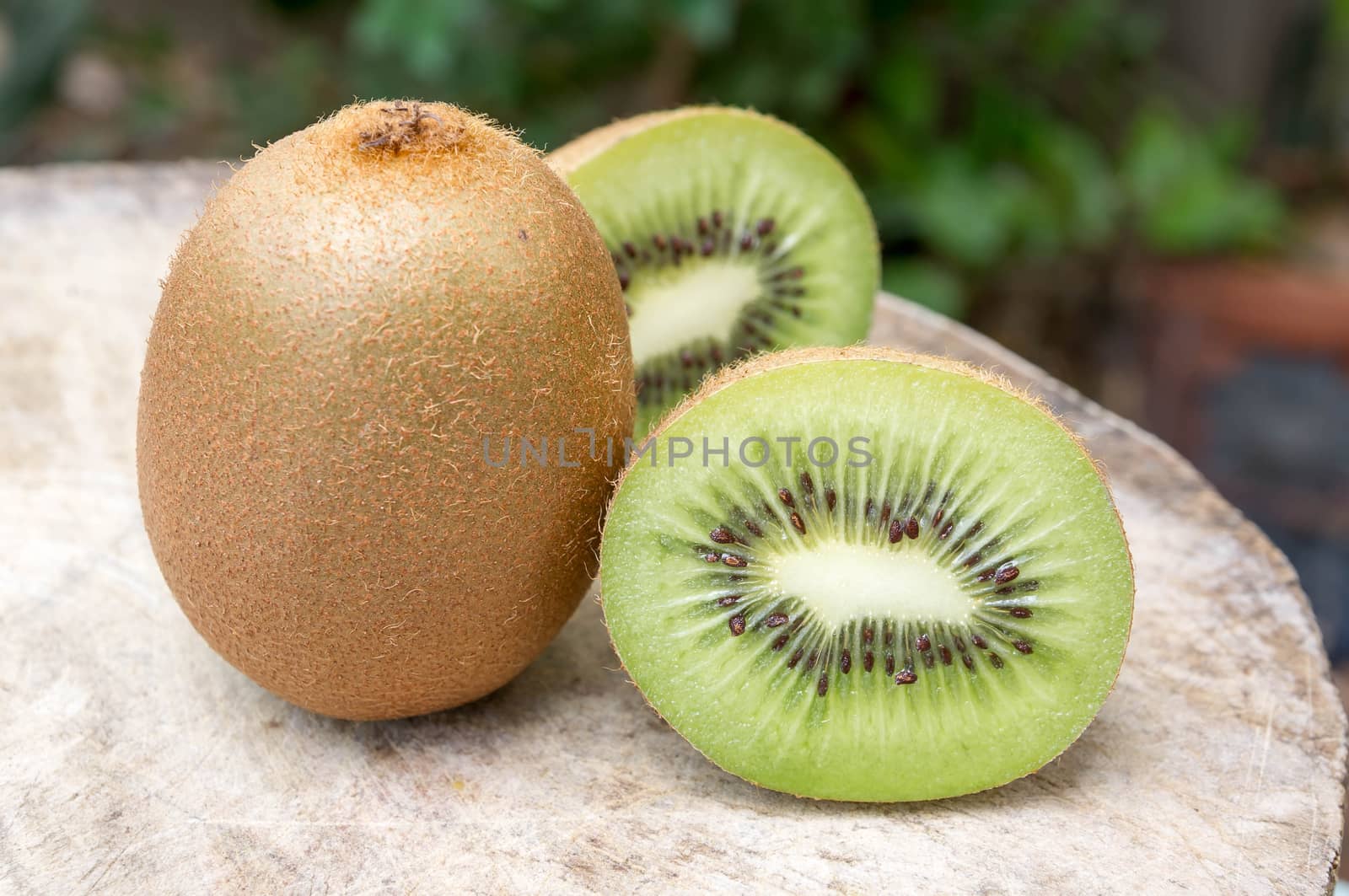 Kiwi fruit. by seksan44