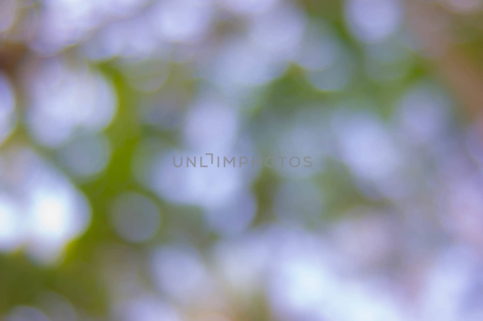 Natural bokeh and blur background