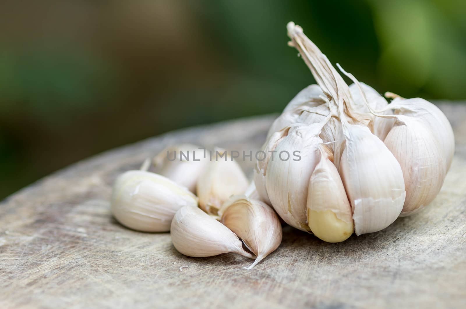 Close up of purple garlic on wooden background (Alliums, Alliaceae)