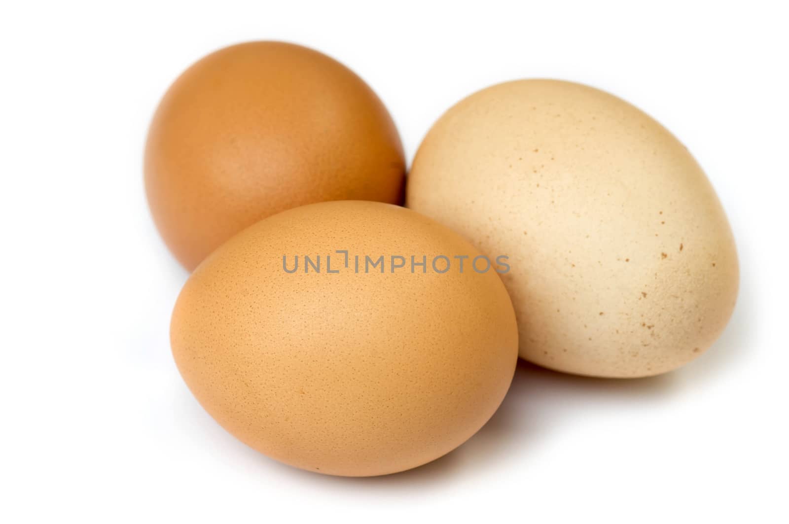 three eggs isolated by seksan44