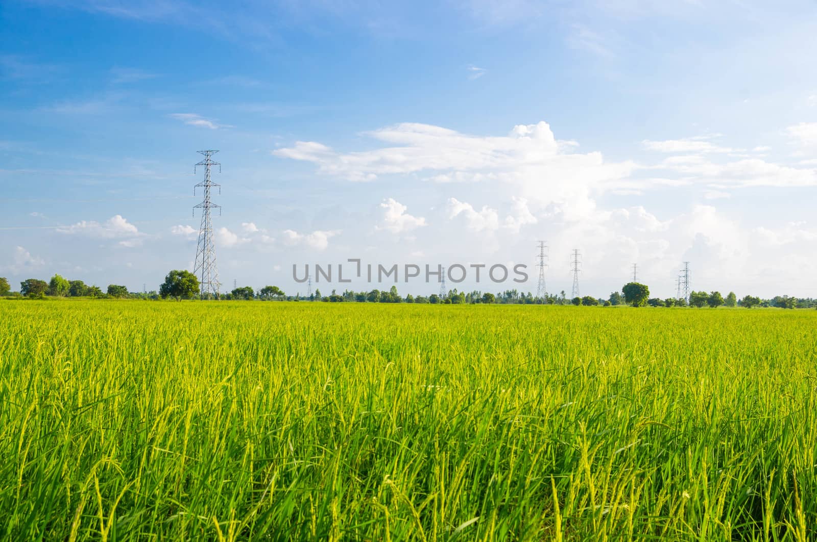 high voltage post.High-voltage tower with green field. by seksan44