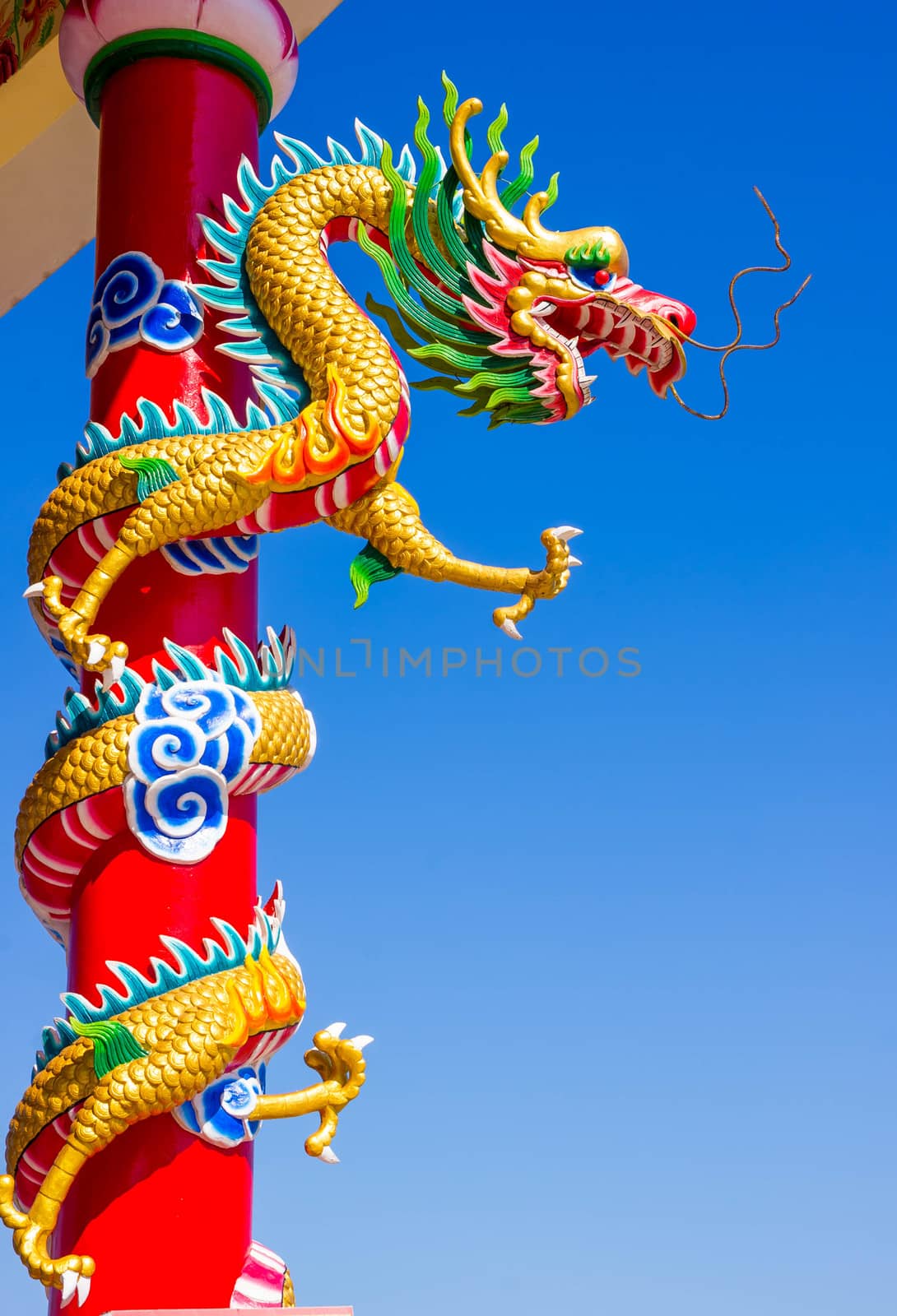 Chinese style dragon statue. by seksan44