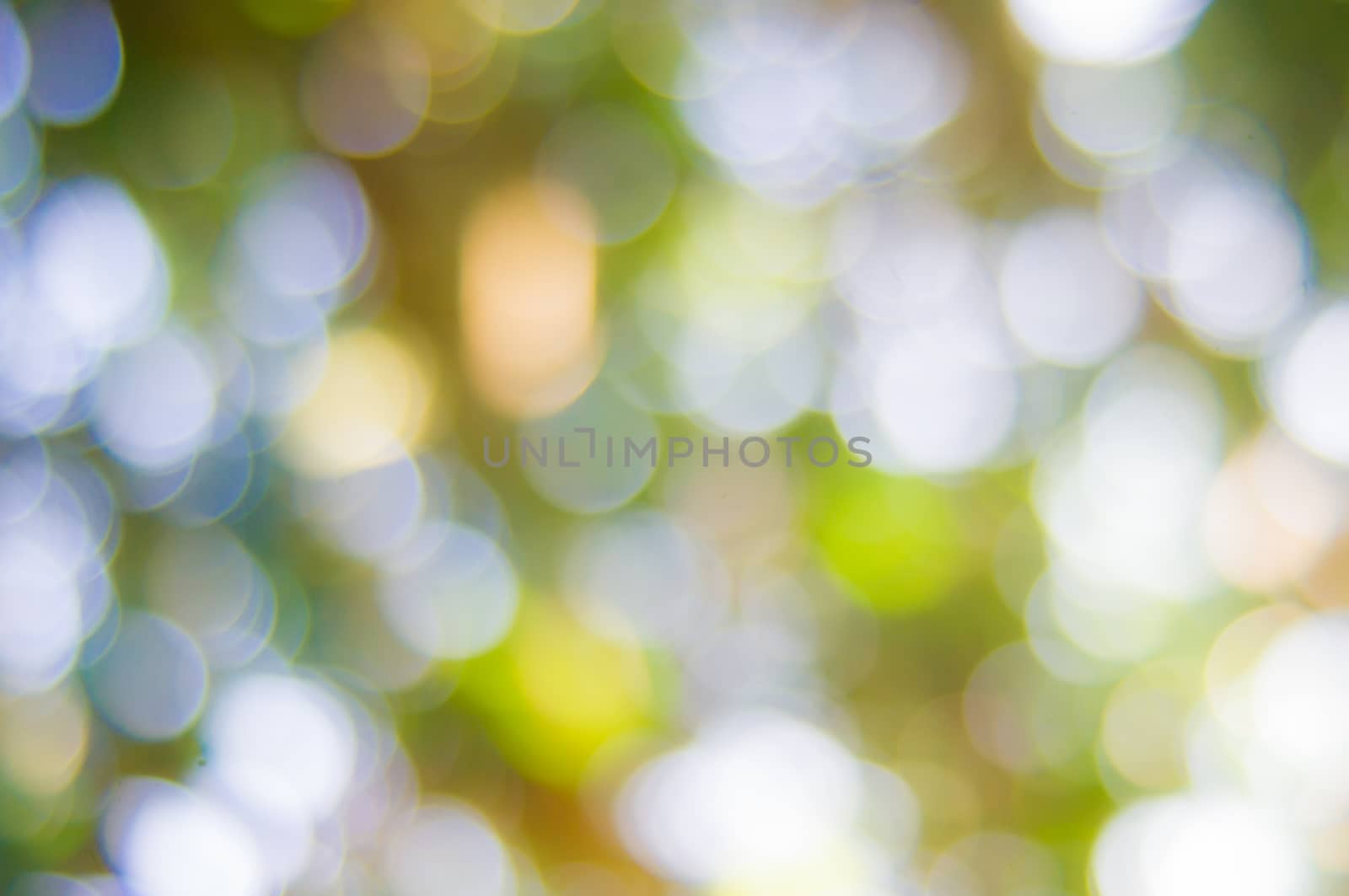 bokeh and blur background