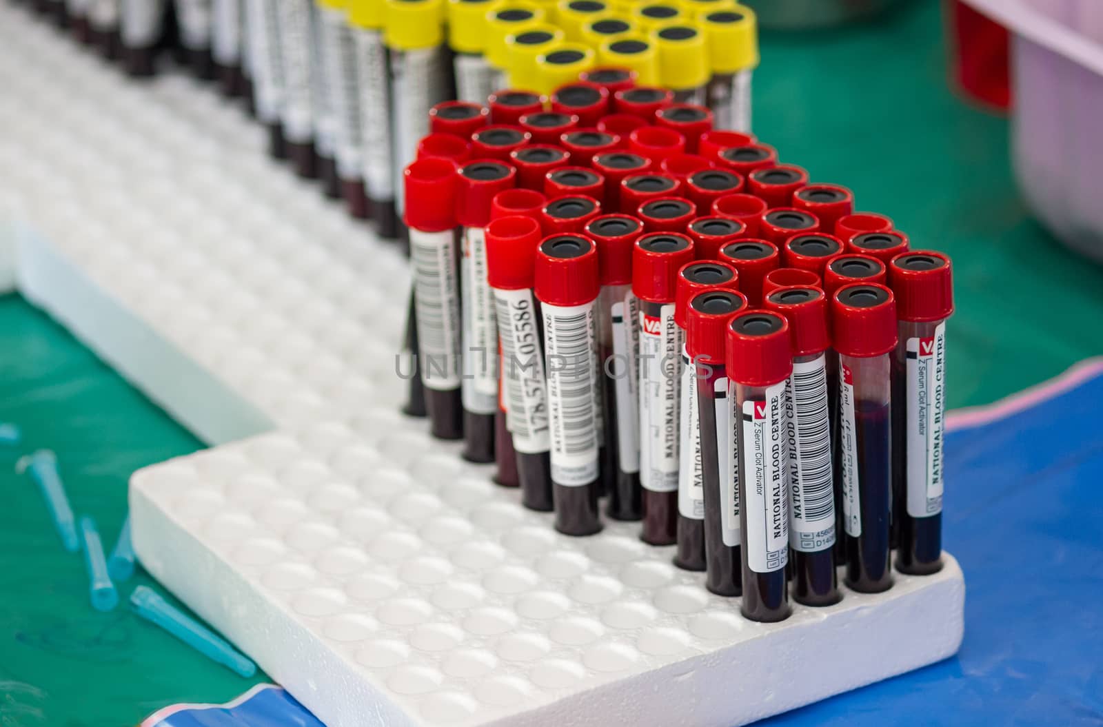 arranges test tubes with blood on a tray