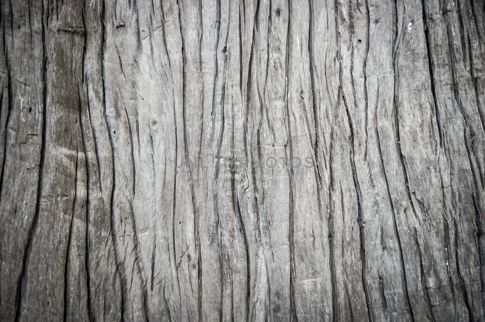 Wood Texture by seksan44