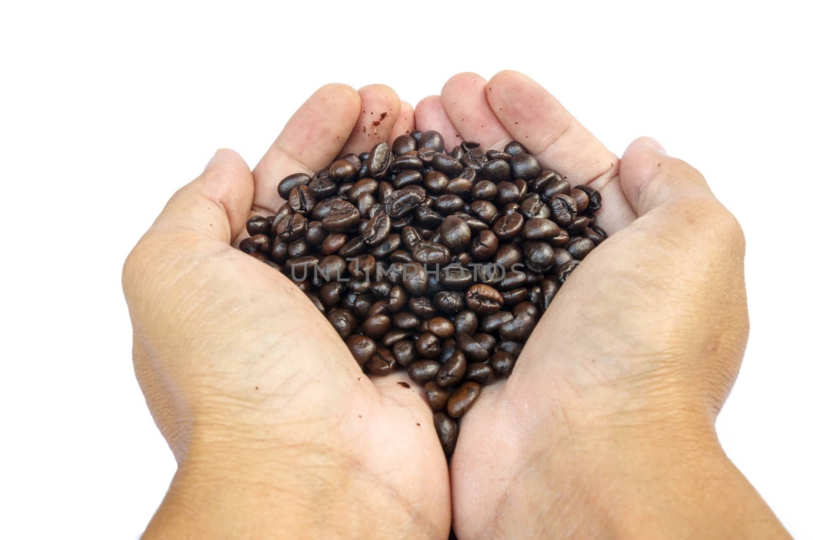 coffee beans on hand isolated on white background.