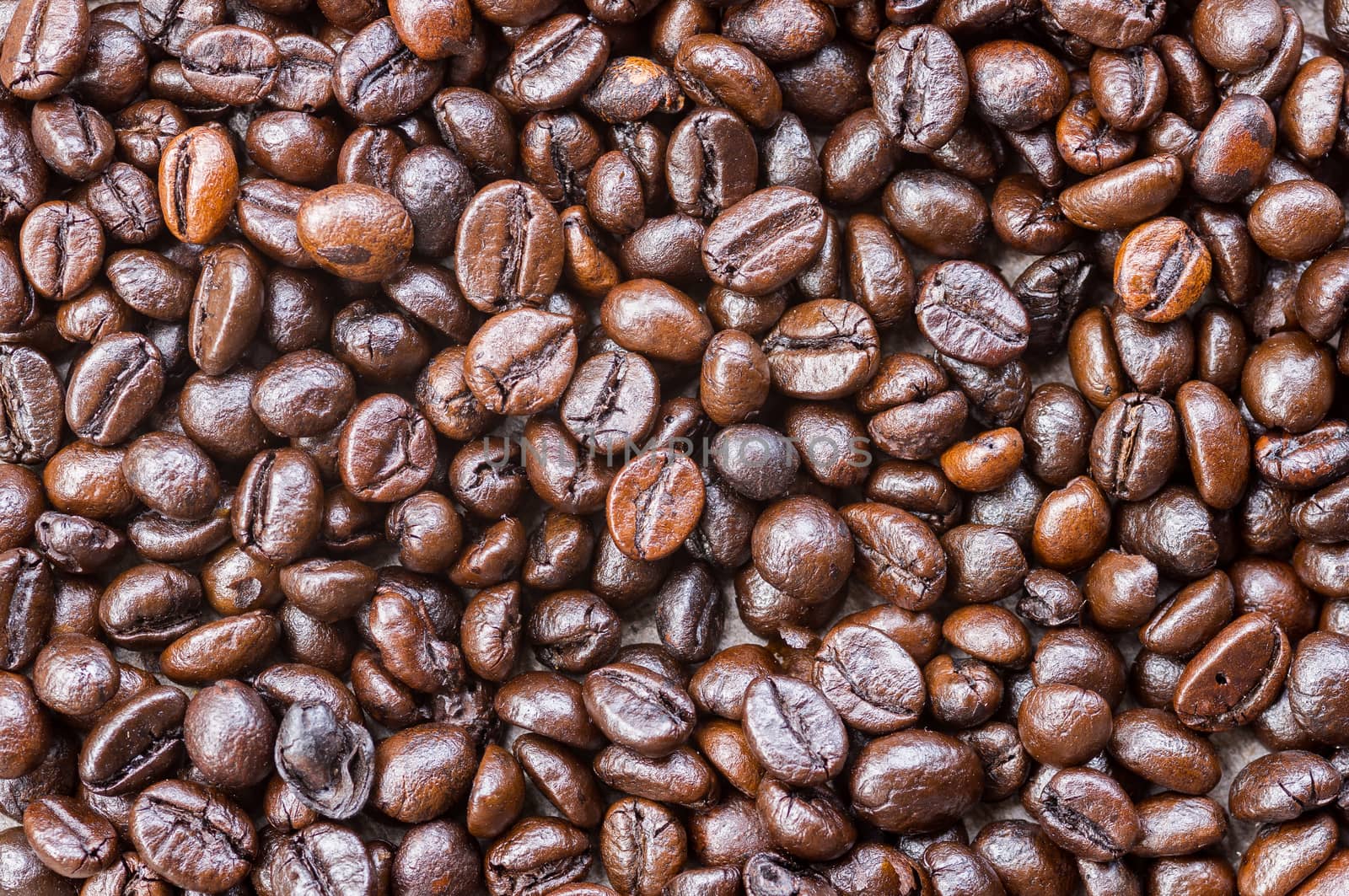 coffee beans on old wood texture background.