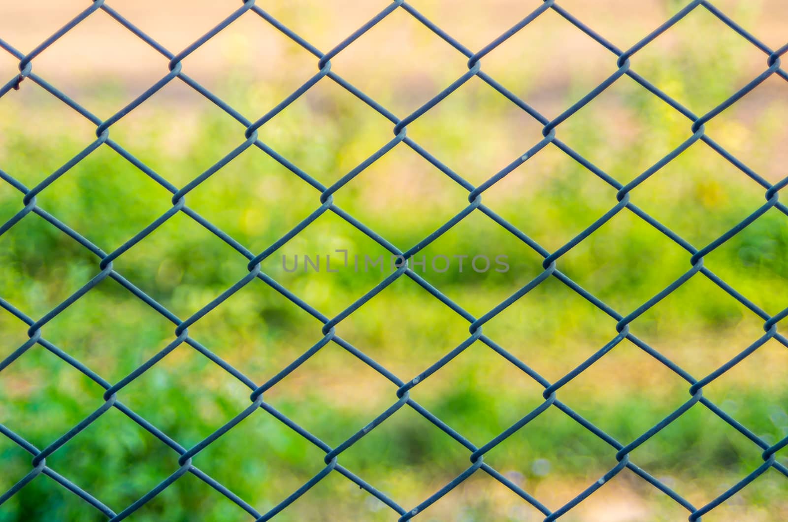 Metal mesh wire fence with blur green background