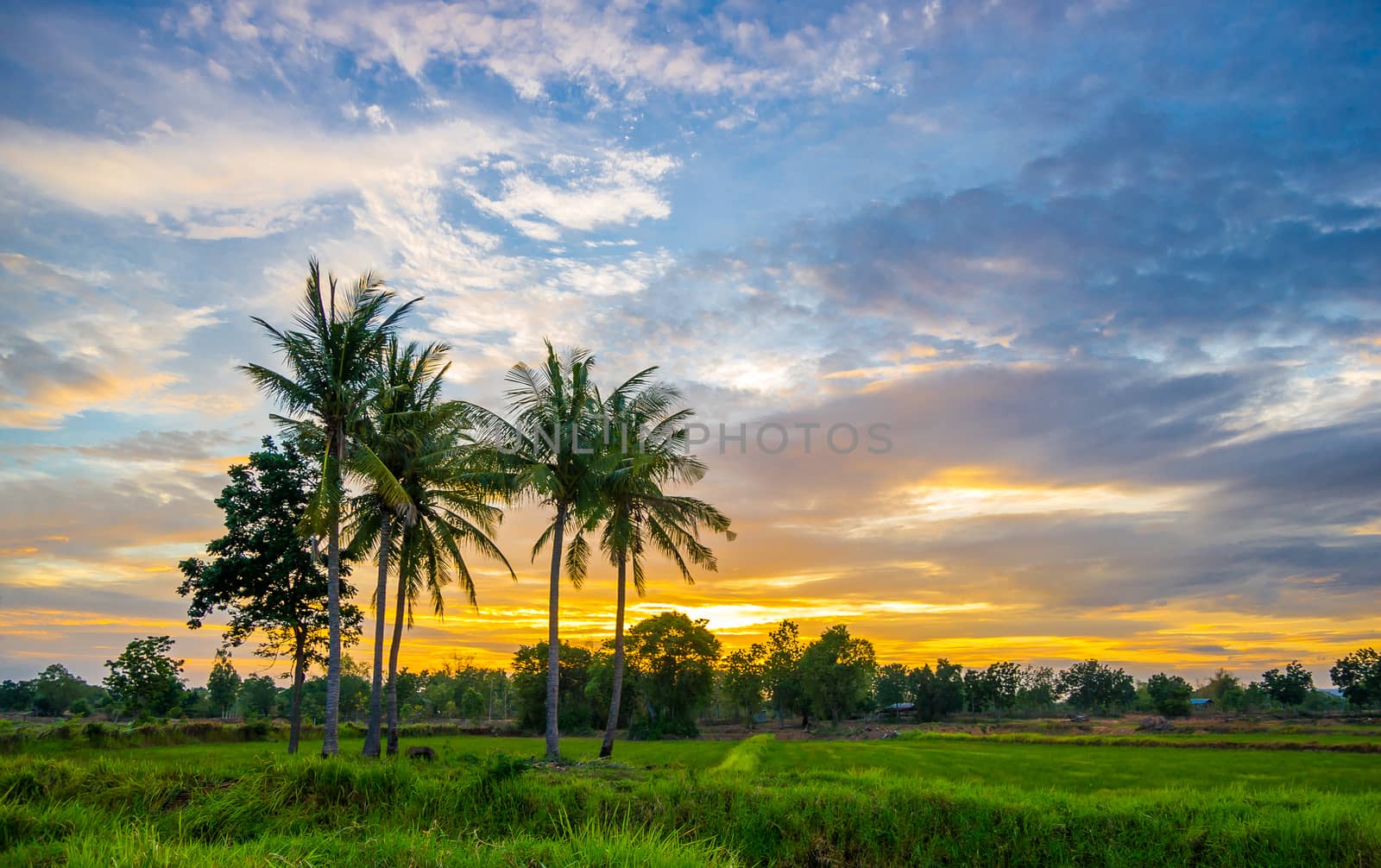 Lanscape sunset in the countryside of Thailand.