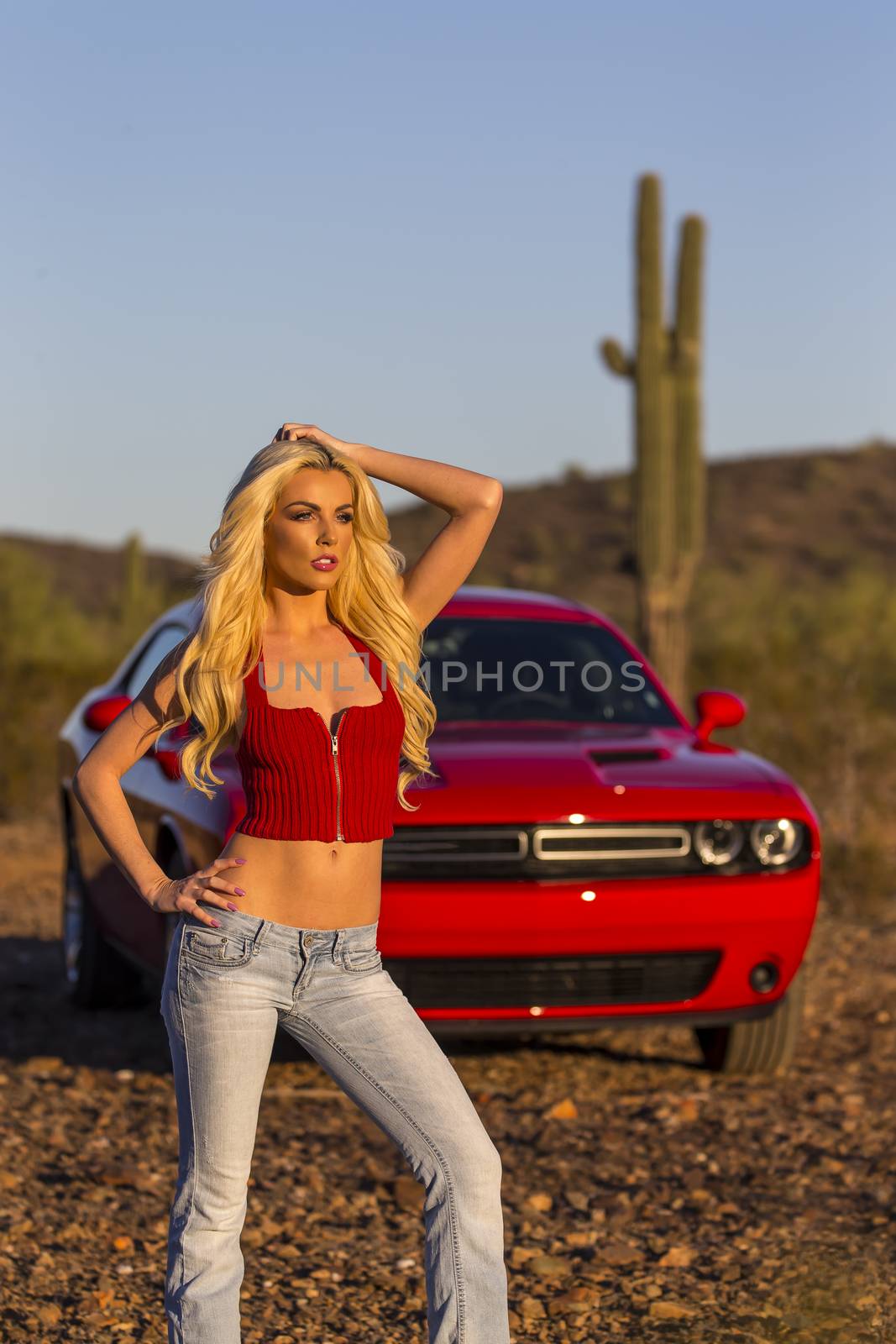 A blonde model posing in the desert of the American Southwest