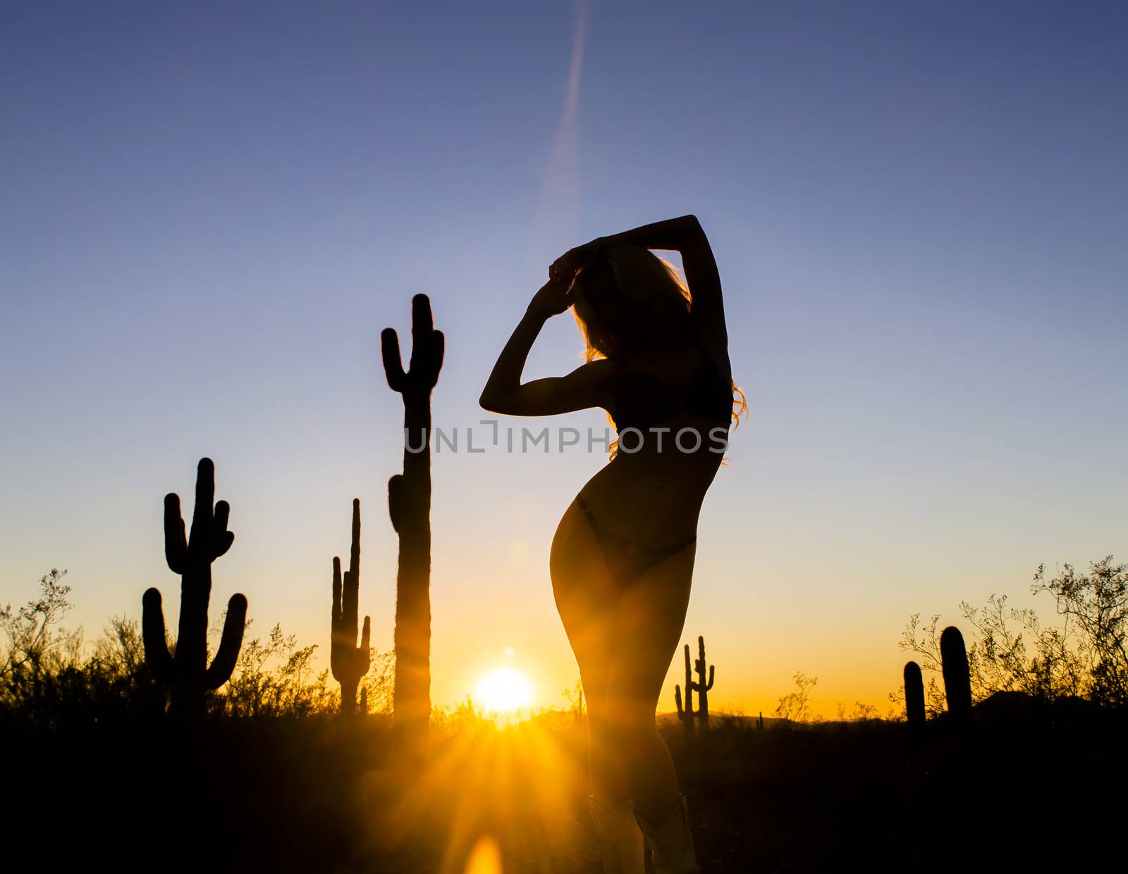 A model posing in the desert of the American Southwest at sunset.