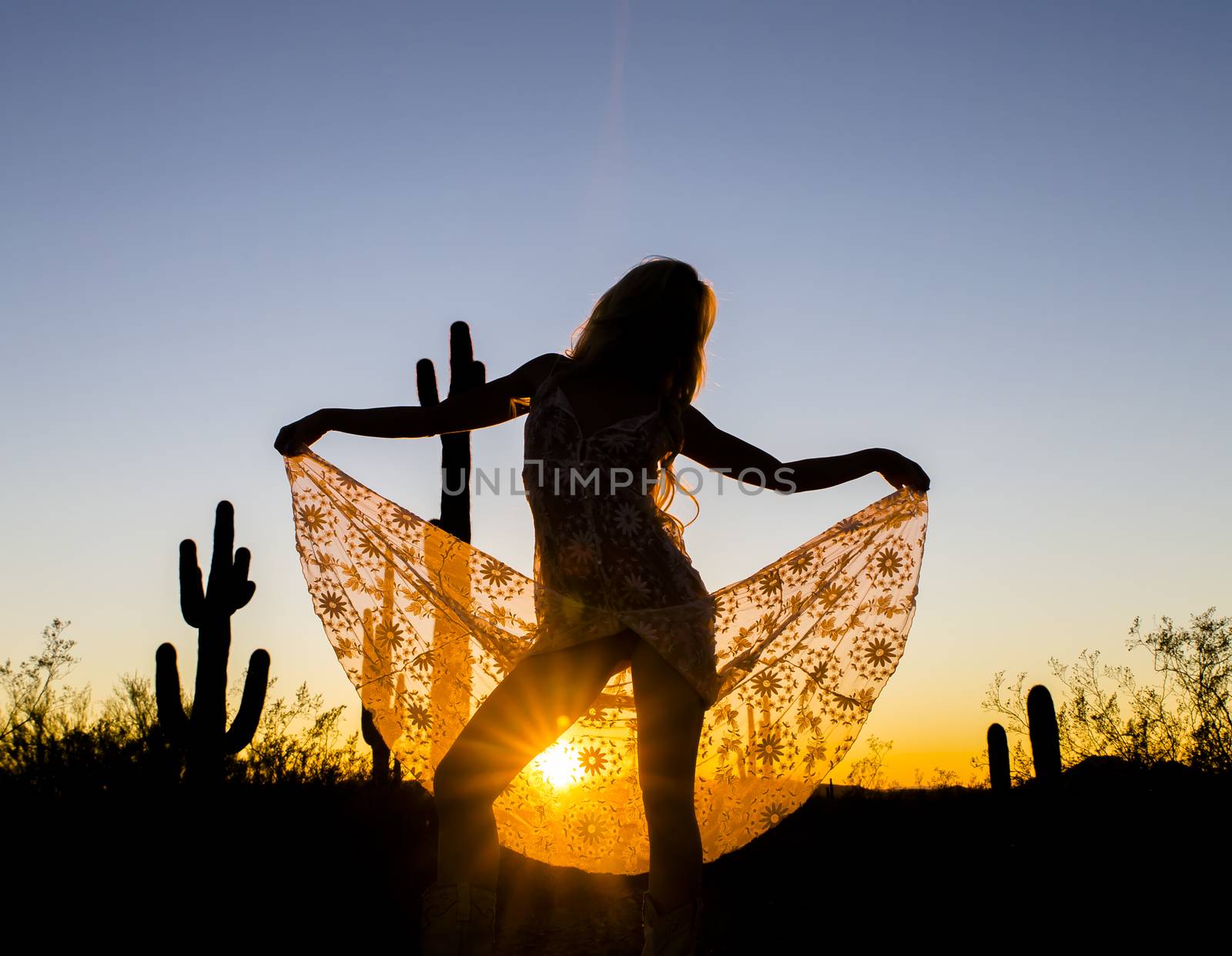 A model posing in the desert of the American Southwest at sunset.