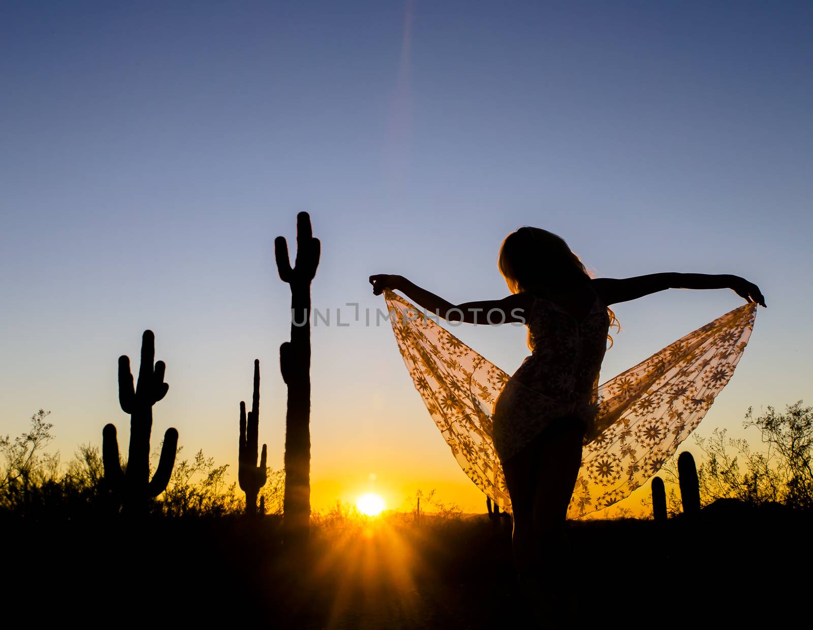 A model posing in the desert of the American Southwest at sunset.