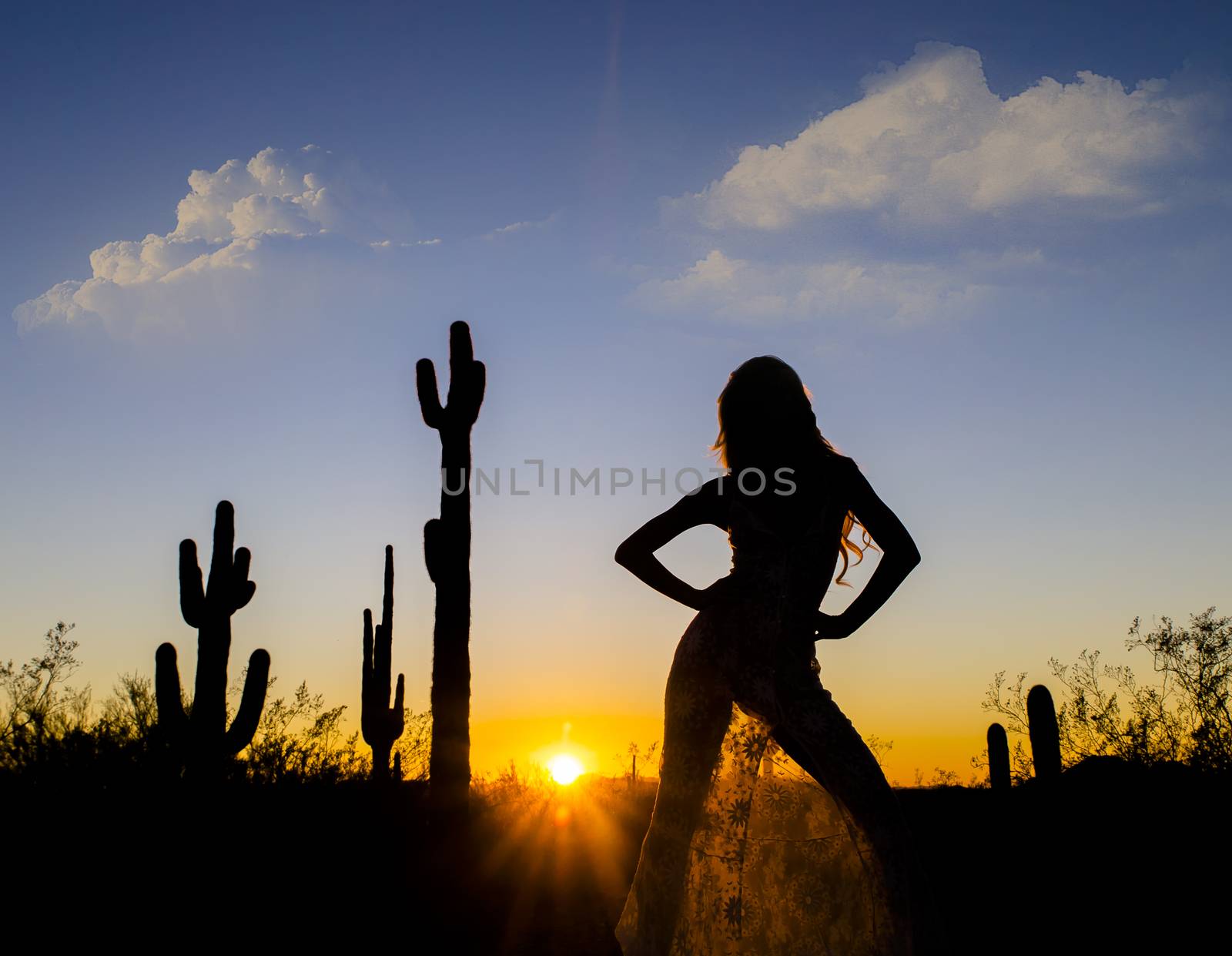 A model posing in the desert of the American Southwest at sunset.