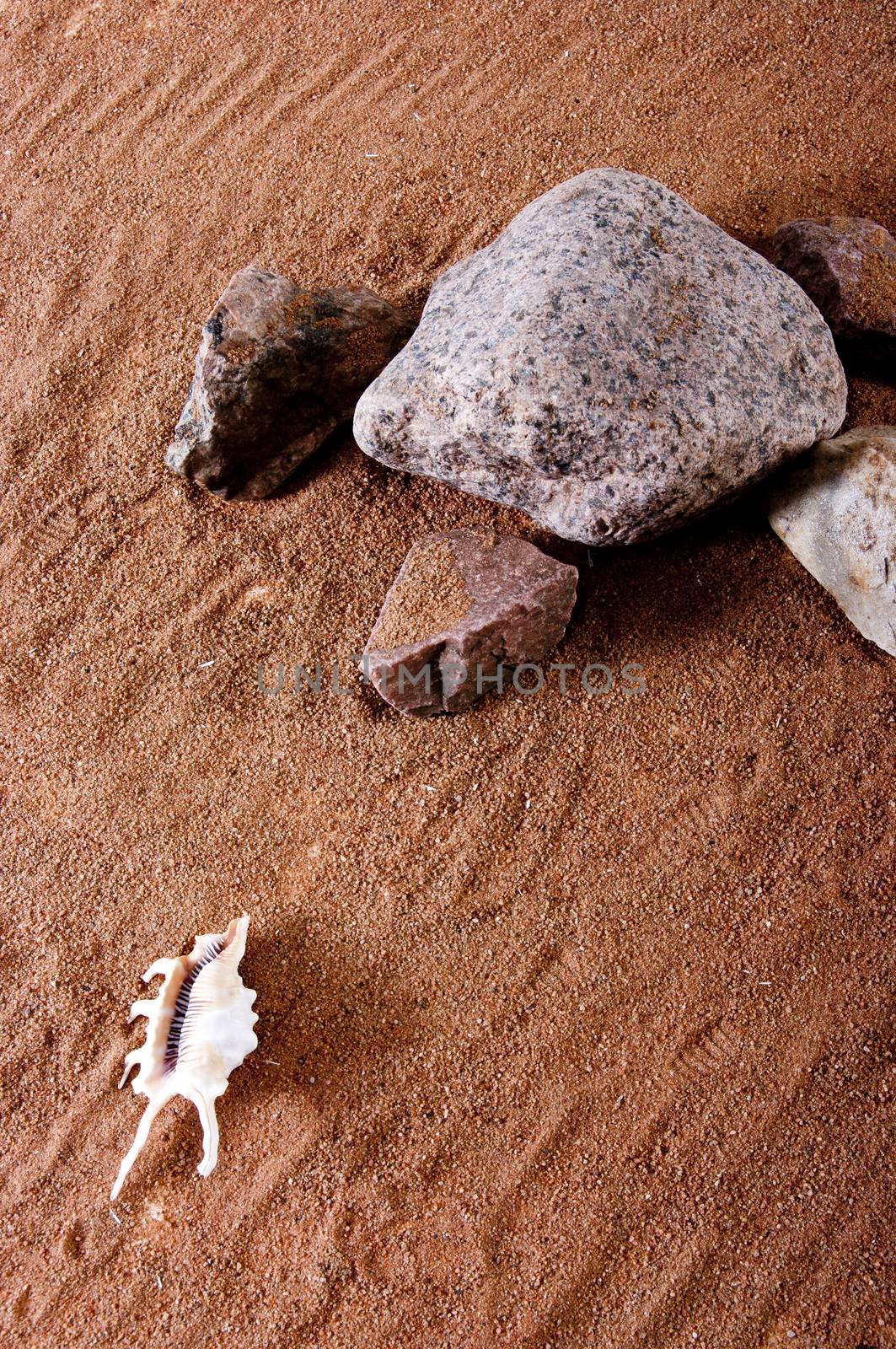 The texture of the river bank - sometimes very beautiful