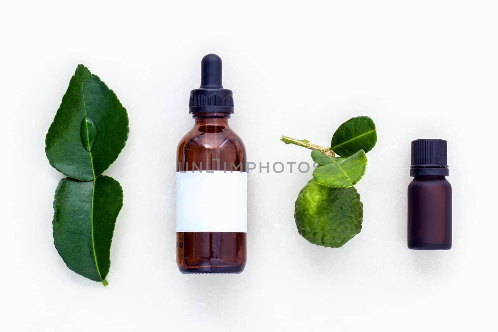 Alternative health care fresh  kaffir llime leaves and oils on m by kerdkanno